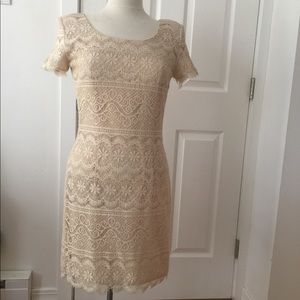 Ann Taylor Lace Dress